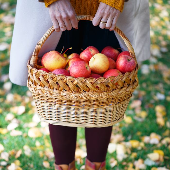 Jablka – královské ovoce podzimu